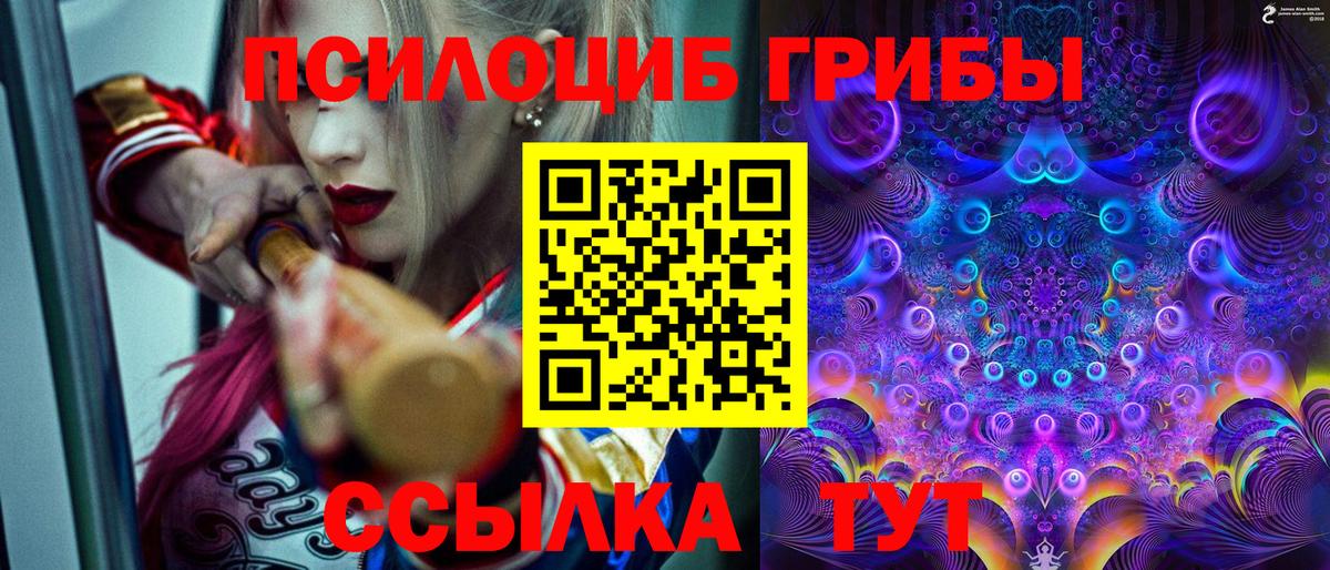 Галлюциногенные грибы мицелий Белореченск