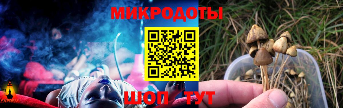 закладки  Вход с VPN  Белореченск  Псилоцибиновые грибы ЛСД 